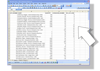 Import Excel Spreadsheets