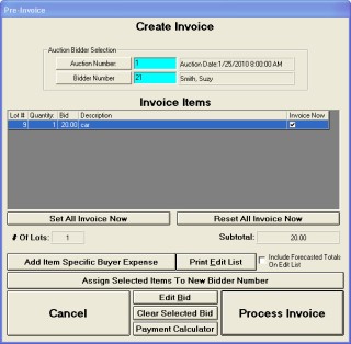 Invoice Preview